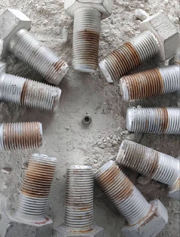 她说公司团建她是奖品