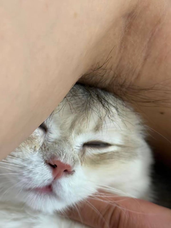 都晕了还以为睡着了