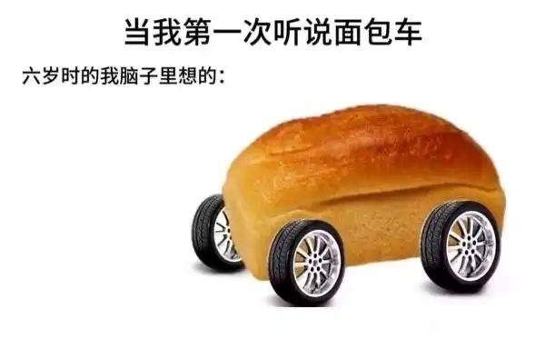 非洲面包树知道吗？我以为树上都是面包