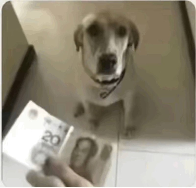 图在这里了图在这里了