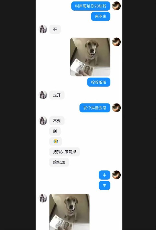 图在这里了图在这里了