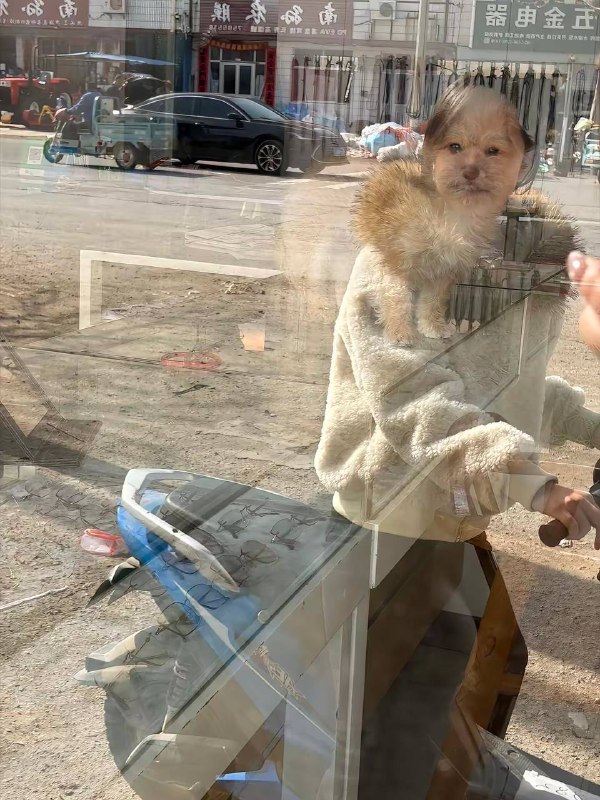 我们意念合一我们意念合一