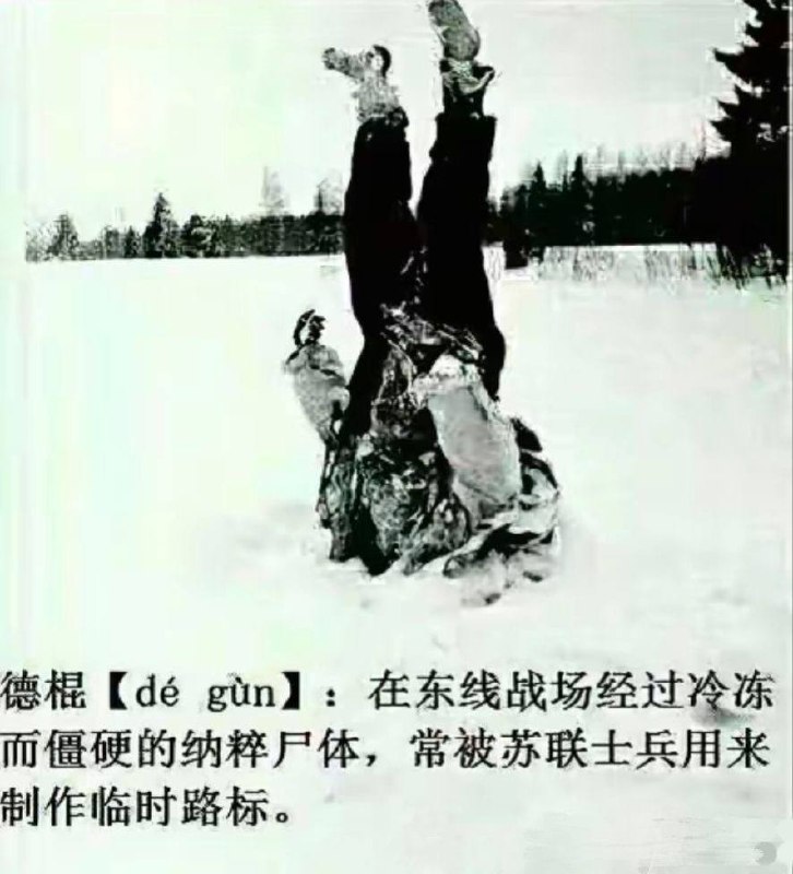 感谢苏军栽培