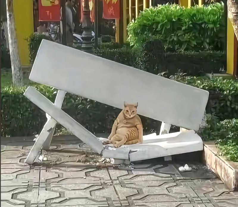 #猛兽 你挺狂啊