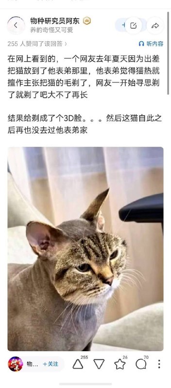 诡异的像是p上去的