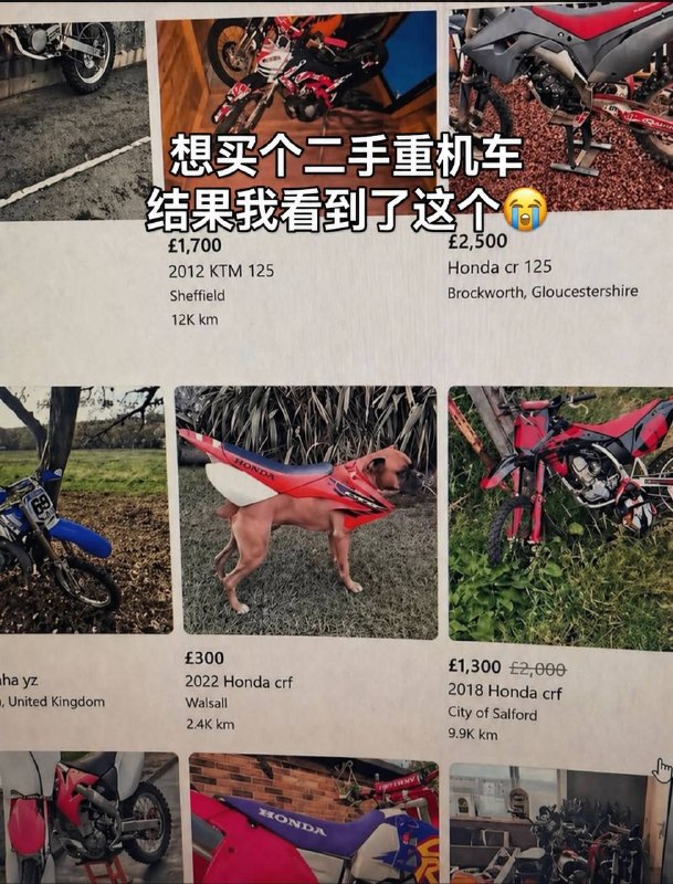 自带防盗，一键寻车，自动泊车等功能