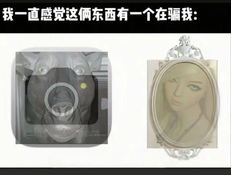 哪一个更真实