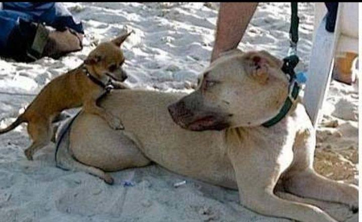 人小志大！ #正能量