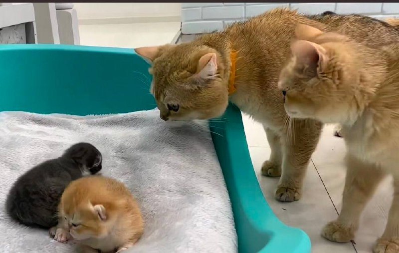 其实那天我什么都知道