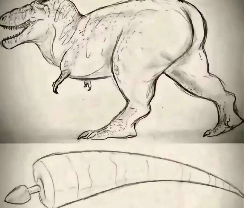 侏罗纪之心