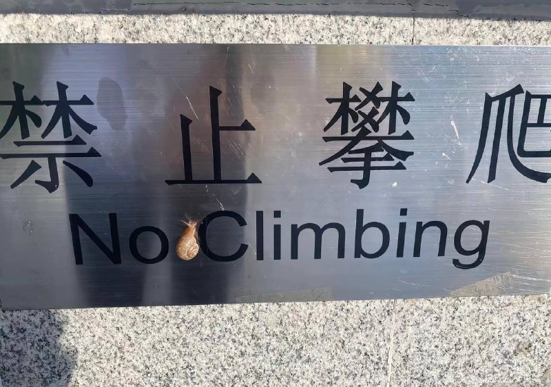 蜗要验牌