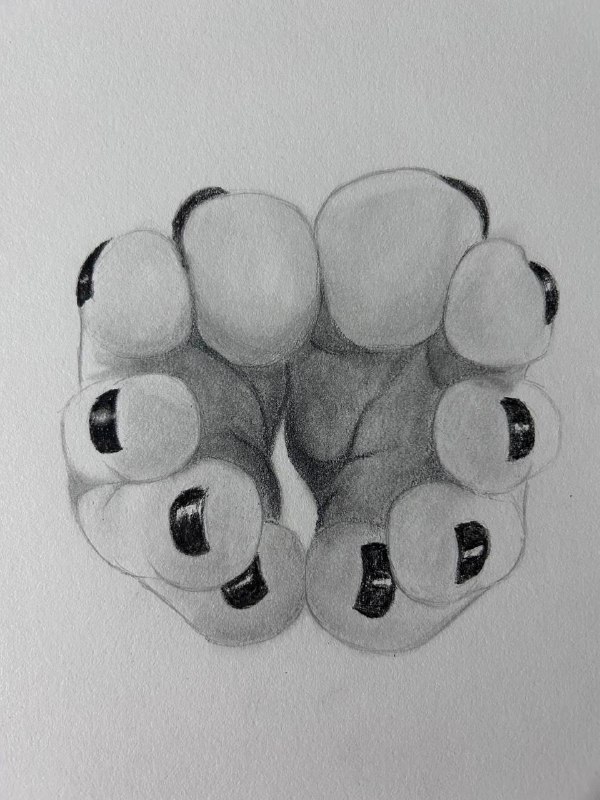 画脚画脚