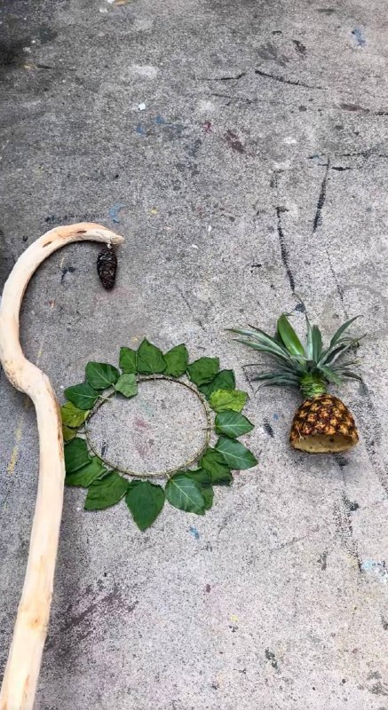 带上毛毛