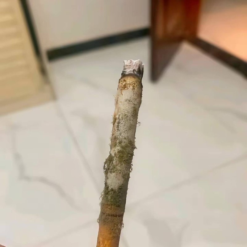 没事没事，高温杀毒