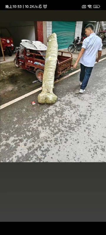 会死的吧
