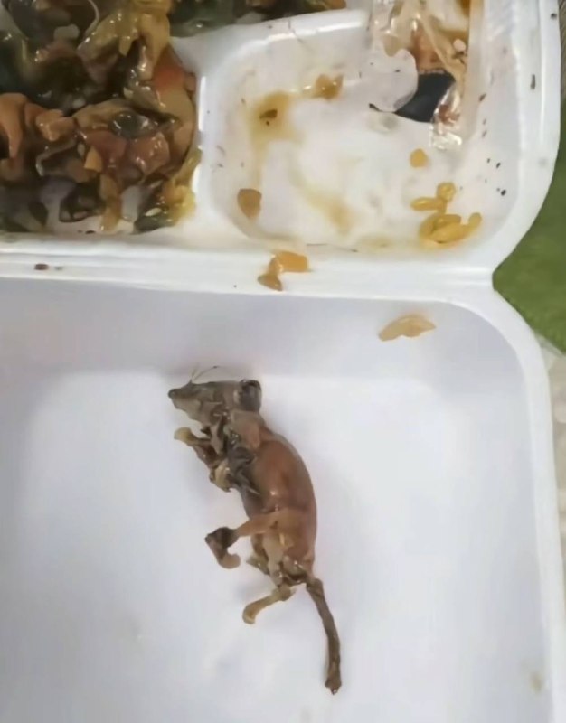 这只是一个鸭脖，不用太惊讶