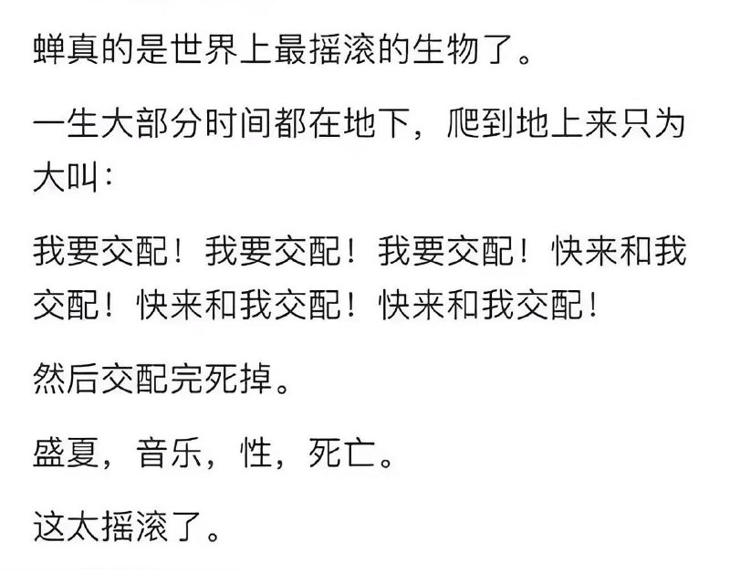 盛夏 音乐 性 死亡#蝉 #摇滚￼￼