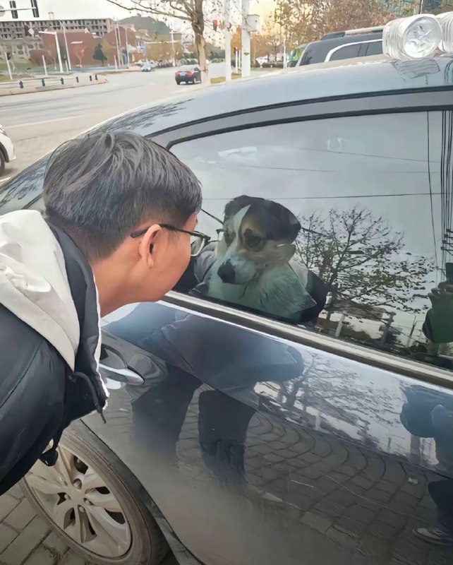 深情对视