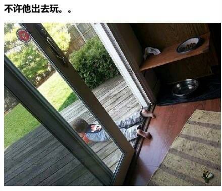 天真烂漫是吾师天真烂漫是吾师