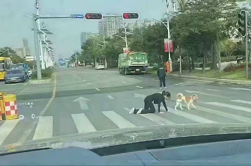 主人的任务