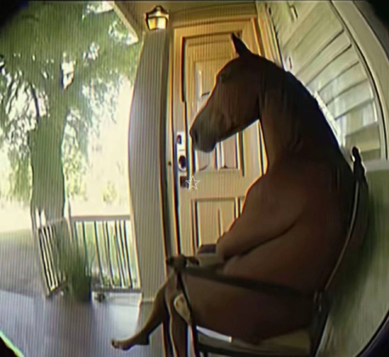 新头像来了新头像来了