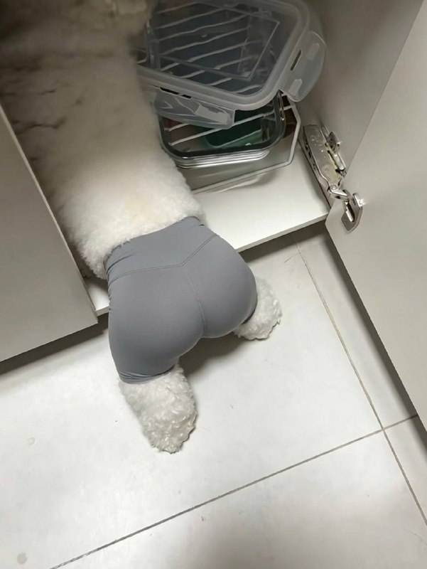瑜伽裤果然谁穿谁性感瑜伽裤果然谁穿谁性感