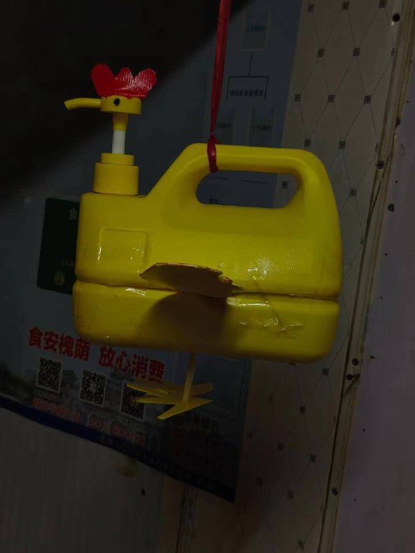 小鸡我自己养了￼￼