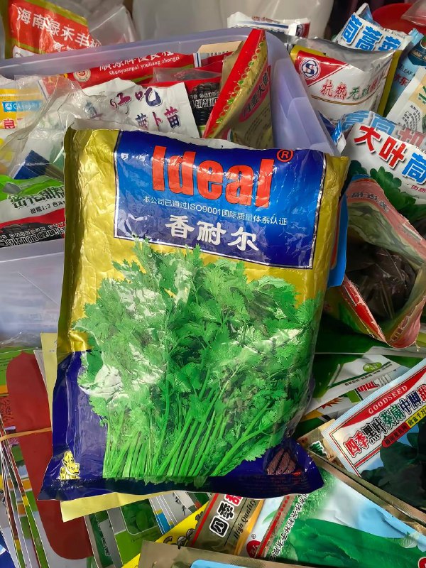 纸碎金迷#香奈儿 #奢饰品￼￼