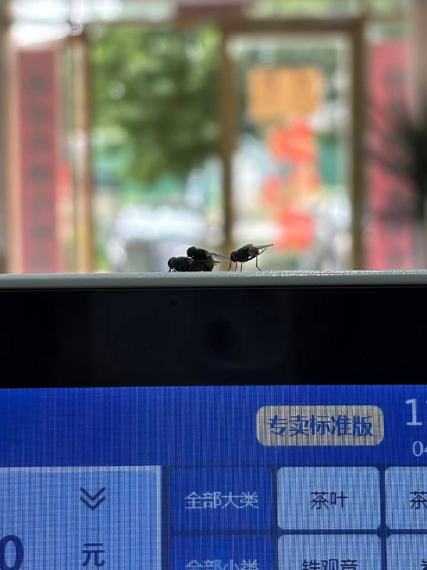 怎么还有一个排队的？￼￼