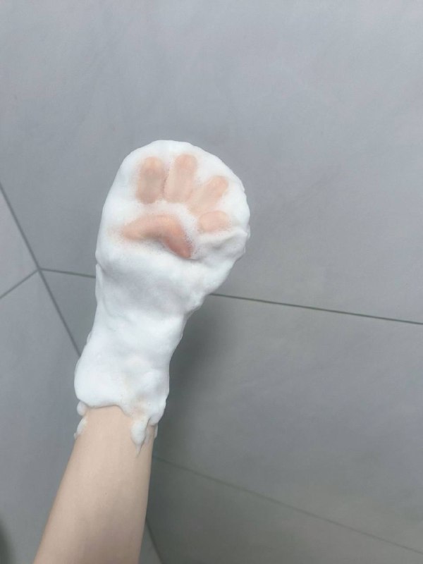 变成小猫了