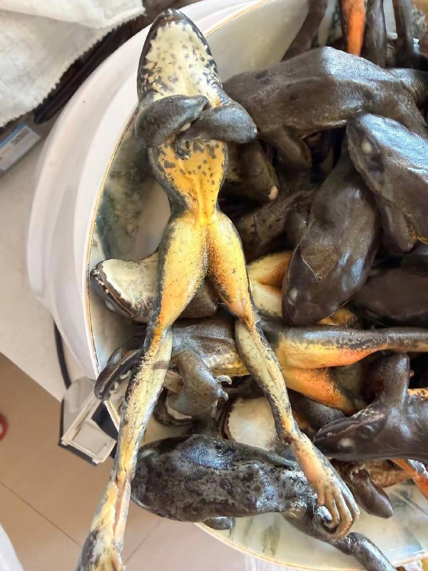 死也要有个死样