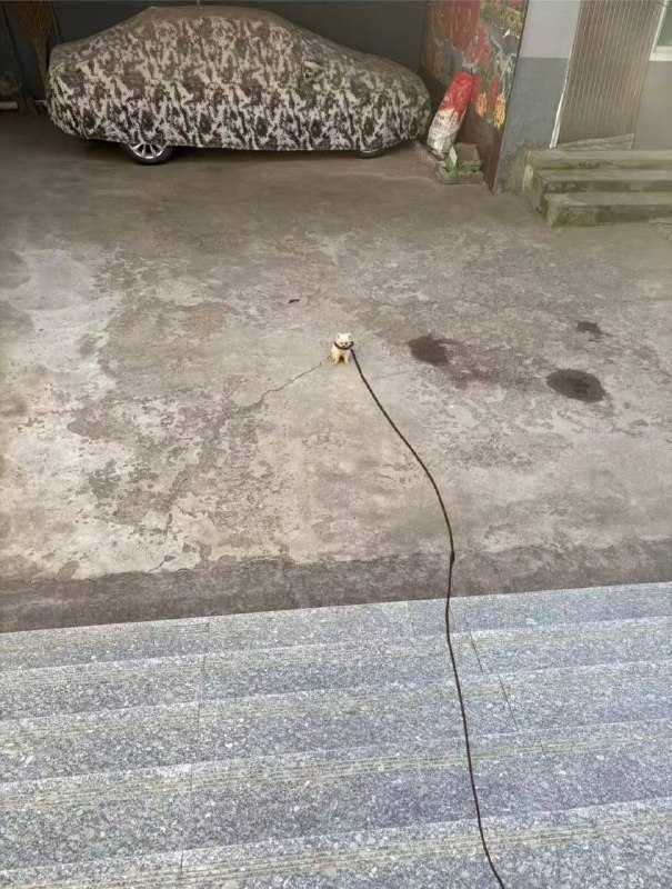 会不会有点太大了