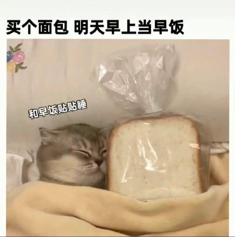 早上：我舍不得碰你晚上：宝贝你好香#面包早上：我舍不得碰你晚上：宝贝你好香#面包