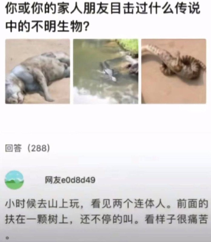 并非痛苦