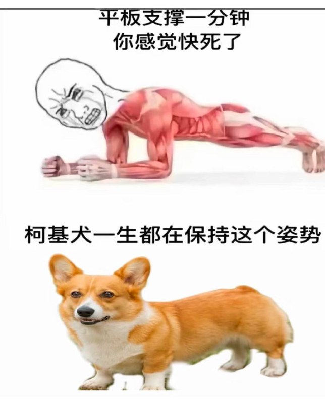 致敬 #平板支撑￼￼
