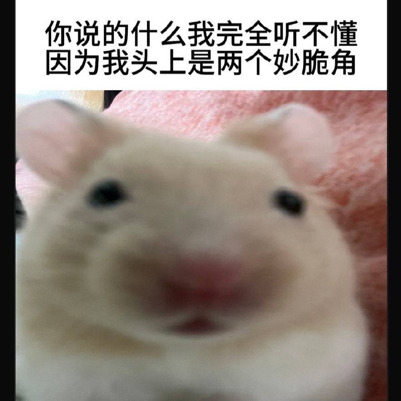 就是非常萌吧！￼￼