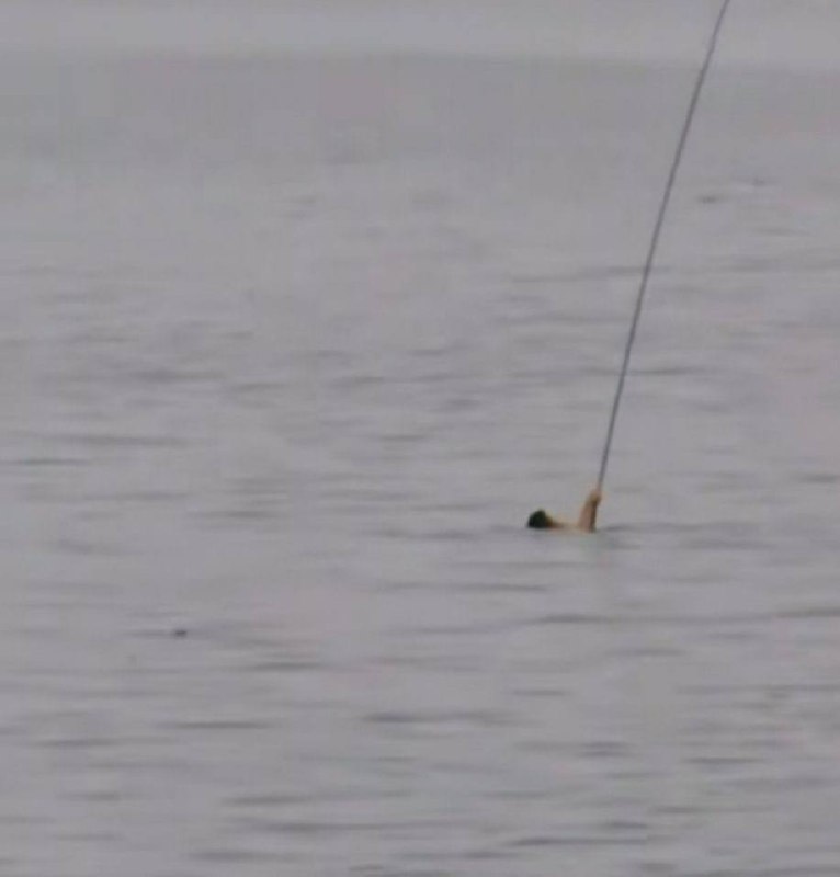 骨灰级钓鱼人骨灰级钓鱼人