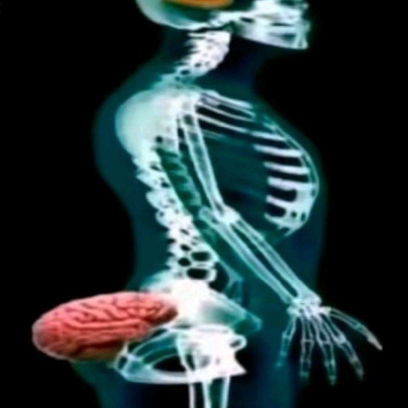 #适老化产品  #科技改变生活￼ 天才发明#适老化产品  #科技改变生活￼ 天才发明