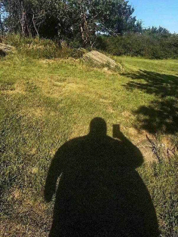 珍惜和我在网上说话的机会吧，现实中我可是一个很忧郁高冷的人哦