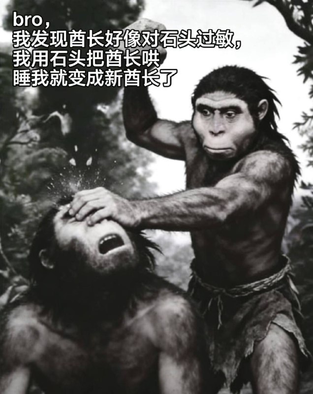 石袭制