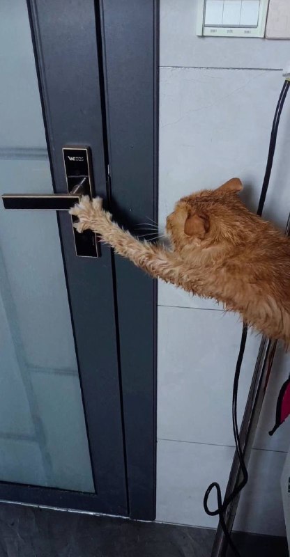 肖黄茂的救赎