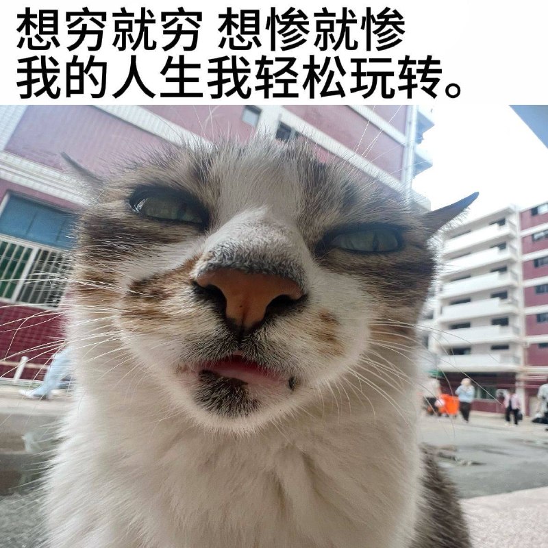想不买什么就不买什么，这就是实力