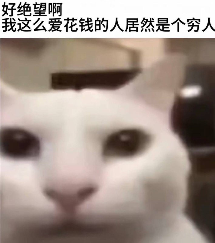 这期共情了