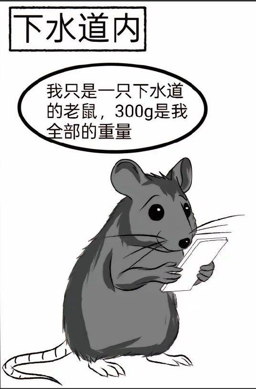 三百克的老鼠在北方是巨无霸，在南方却是小鼠就像你以为的全部对他来说无足轻重三百克的老鼠在北方是巨无霸，在南方却是小鼠就像你以为的全部对他来说无足轻重