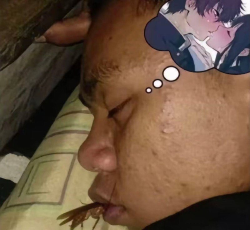 你还有双马尾亲