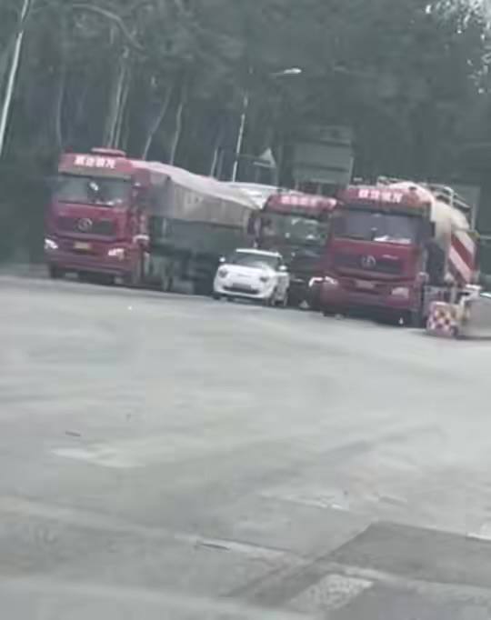 社会没有参天树 我叫玉米你记住 #邪恶糯玉米 #半挂￼￼