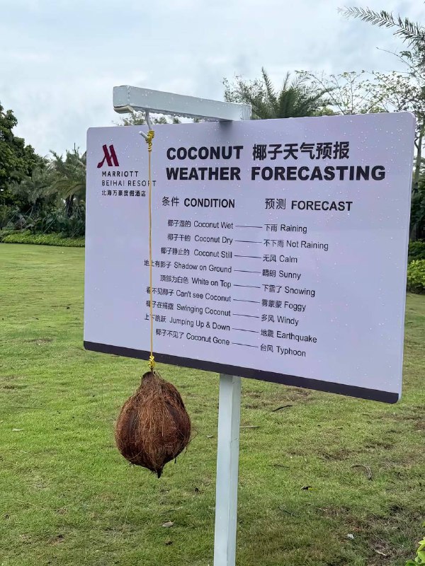 椰子没了：yummy