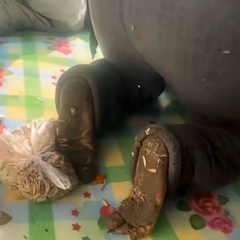 穿上，我现在没心情 #足控