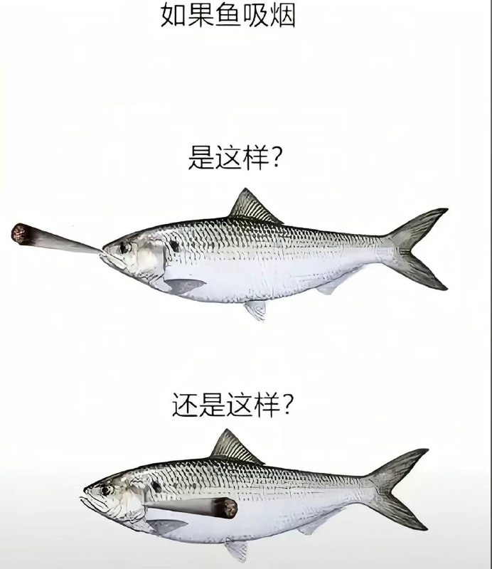 它抽烟用肺吗