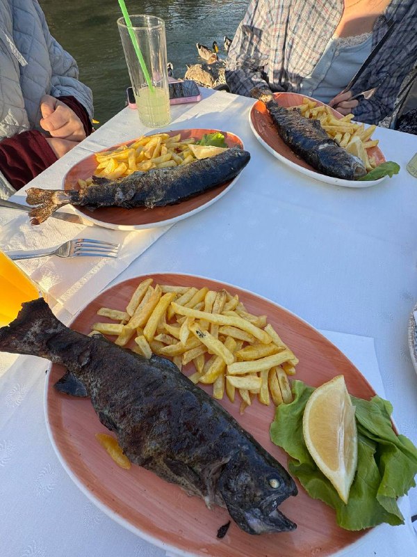 素食主义者的阴谋 #美食